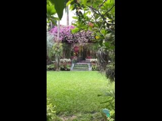Баан Ботаника
Тайланд. 

Дом Билла в Бангкоке с любовью