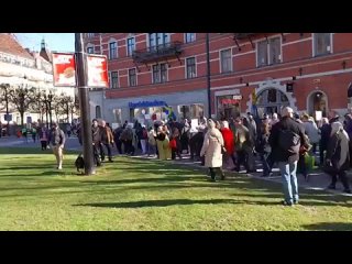 Massenproteste in Schweden nach dem brutalen Mord an einem Mann durch einen Migranten