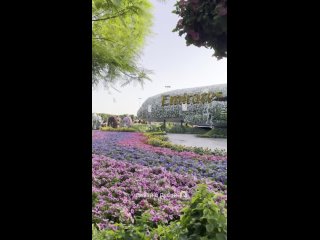 Сколько миллионов цветов высажено в Miracle Garden