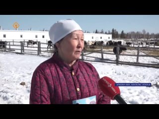 Видео от Новости г. Покровск и Хангаласского улуса