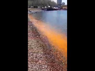 Морская вода в бухте Федорова во Владивостоке окрасилась в ржавый цвет