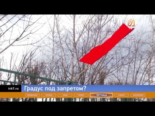 Новости 7 канал Красноярск