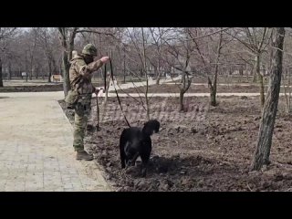 «Женщин в МВД нет, мы все сотрудники» — кинолог, служащая в Херсонской области, рассказала про специфику работы с собаками