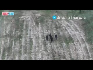 🇭🇺 Пятеро украинцев смогли сбежать в Венгрию
