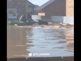 Мужчина спас выбившуюся из сил собаку с затопленного участка в коттеджном посёлке Ивановское в Оренбурге.