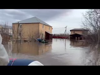 В затопленном СНТ в Оренбурге спасли двух человек