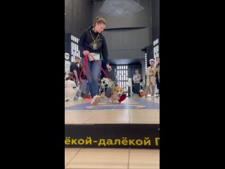 Video by Красивая жизнь. Женский журнал
