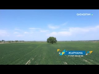 Рекламные заставки (Qazaqstan, весна 2024)