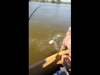 Видео от Рыбалка с Охотой