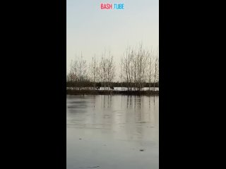 🇷🇺 В Тюменской области уровень воды в реке Ишим продолжает расти - за последние сутки он поднялся на 69 сантиметров