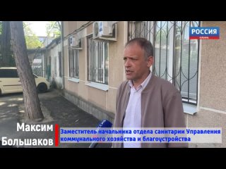 В администрации Краснодара прокомментировали ситуацию со свалкой на могиле Славянского кладбища