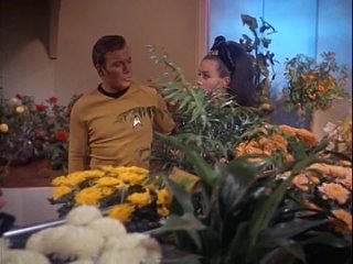 S03E05 Star Trek Is There In True No Beauty