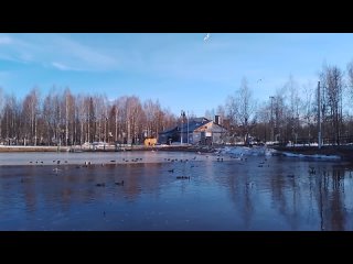 Видео от Палитра города. Новости Ухты