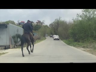 Сочинцы бросили машины из-за 14-километровой пробки в Сочи