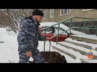Video by Подслушано МОНЧЕГОРСК В КУРСЕ