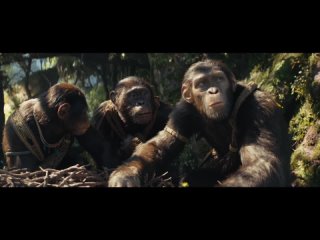 Kingdom of the Planet of the Apes Exclusive Extended Preview (2024) | Video by Fandango