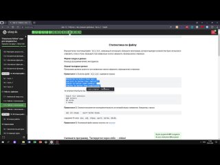 17.3 Статистика по файлу. _Поколение Python__ курс для продвинутых. Курс Stepik