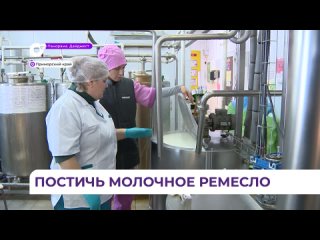 Приморских фермеров обучат производству молочных продуктов