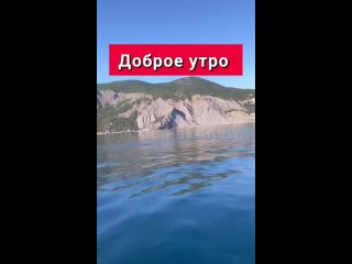 Доброе утро Крым 😍🐬  📍Балаклава