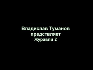 Владислав Туманов - Журавли - второй вариант...