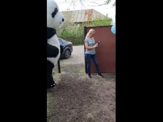 Видео от Мишка Вишенка Воронеж