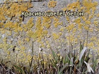 В любом своем проявлении природа прекрасна