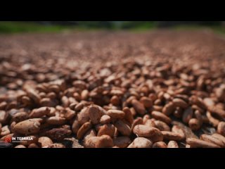 Какаовелла IN’TERRASA - мульча из оболочки какао-бобов