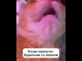 Video frn БАЙКАЛ ДЕЙЛИ