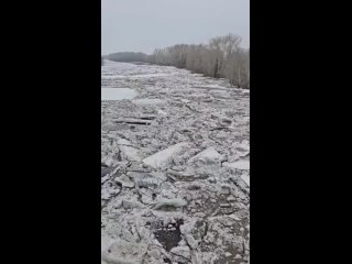 💻 Затор льда на Ишиме у села Покровка

🎥 pkzsk.