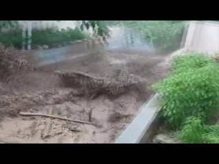 Apocalypse in Guangdong Province! The world is shocked by scenes from China!.mp4