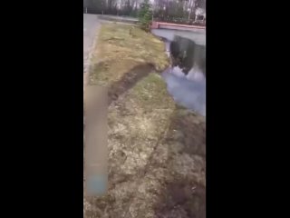 В подмосковной Шатуре школьница бросилась в ледяной пруд, чтобы спасти собаку.