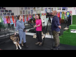Видео от Центр развития и подготовки собак DogFit