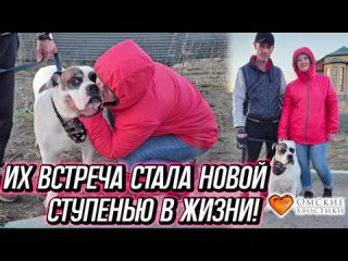 Их встреча стала новой ступенью в жизни! | Тайгер