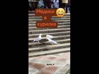 Без наркоза или Медики шутятtan video