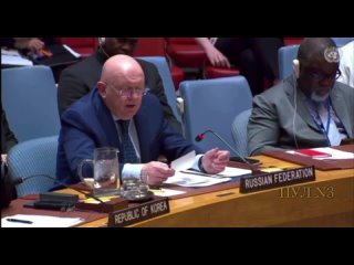 Rappresentante permanente della Russia presso l’ONU Nebenzya - sul progetto di risoluzione del Consiglio di sicurezza sul diviet