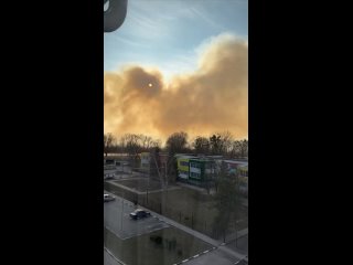 В Шебекино уже несколько часов горит сухая трава в поле.