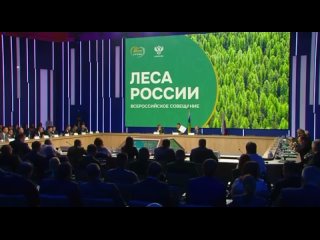 Всероссийское совещание «Леса России» прошло на выставке-форуме «Россия» на ВДНХ
