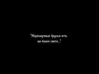 Социальный ролик “Неразлучные друзья есть на белом свете...“, 6А класс