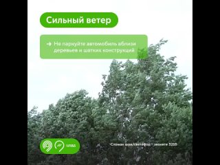 По прогнозам синоптиков, сегодня в течение дня в Москве ожидается сильный ветер.