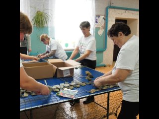 В Ивангороде работают волонтеры «серебряного» возраста