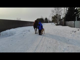 Видео от Анастасии Мокрецовой (720p) (via Skyload)