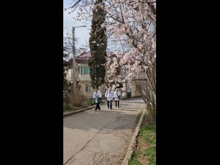 ️ А в Севастополе весна и воскресенье!