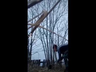 Видео от Юлии Барыгиной