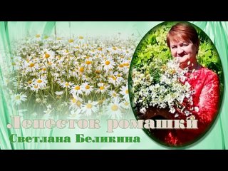 Лепесток ромашки Светлана Беликина сл Марина Мальцева муз Елена Соломатина Авт НРудакова