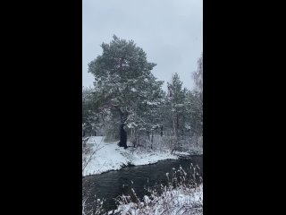 Видео от Посуточная аренда  коттеджа Домики у пруда