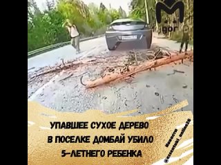 ⚡️Трагедия в Домбае: дерево упало на пятилетнего мальчика

Следственным отделом по г.