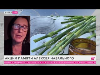 [Телеканал Дождь] Акции памяти Навального. Первый пост Юлии Навальной. Почему ВСУ отступили из Авдеевки