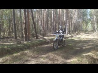 Сквозь лес на мотоциклах!