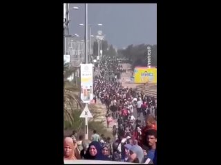 Miles de personas huyen de Rafah a medida que comienzan los ataques israeles en el rea