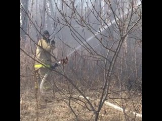 К 15-летию сайта «Первый областной» мы нашли Алексея Мышковца, который в 2018 году спас деревню от лесного пожара